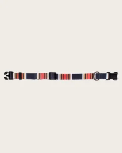 ACADIA NATIONAL PARK ADVENTURE COLLAR