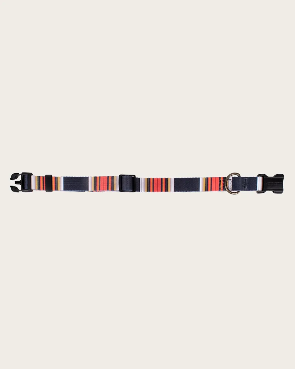 ACADIA NATIONAL PARK ADVENTURE COLLAR