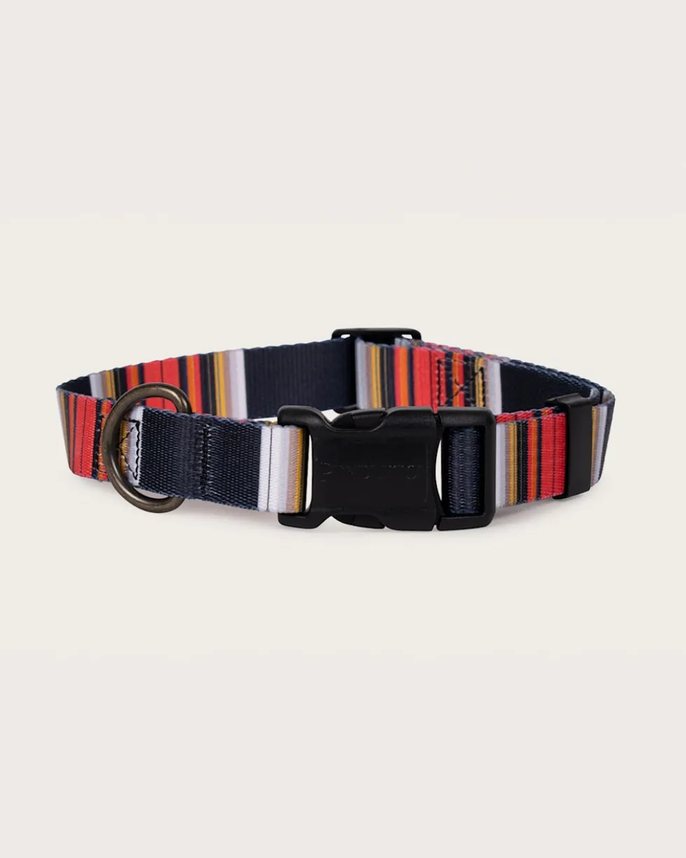 ACADIA NATIONAL PARK ADVENTURE COLLAR