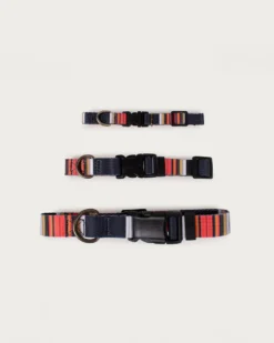 ACADIA NATIONAL PARK ADVENTURE COLLAR
