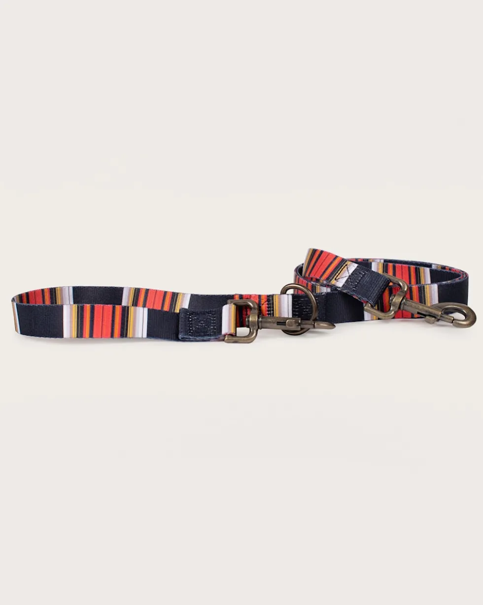 ACADIA NATIONAL PARK ADVENTURE LEASH