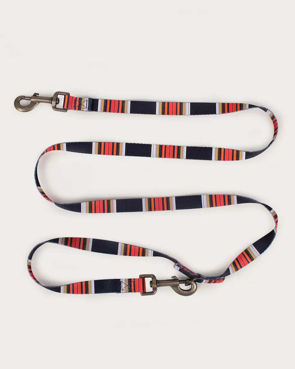 ACADIA NATIONAL PARK ADVENTURE LEASH