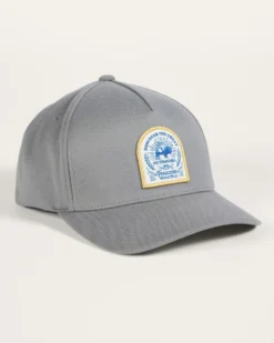 BISON GRAPHIC HAT