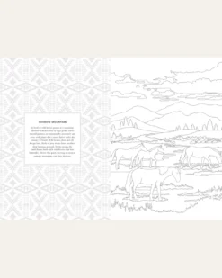 COLORING BOOK