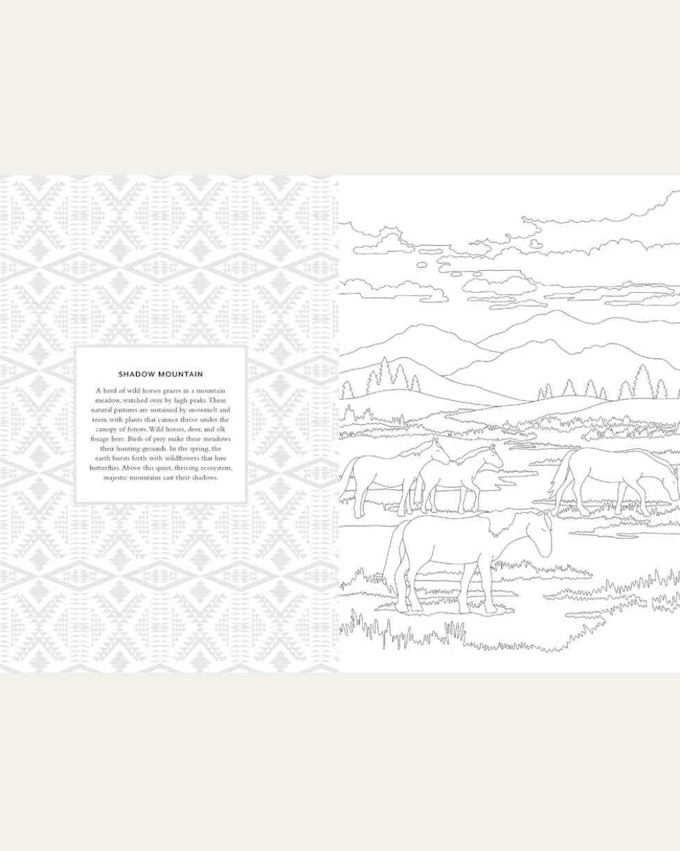 COLORING BOOK