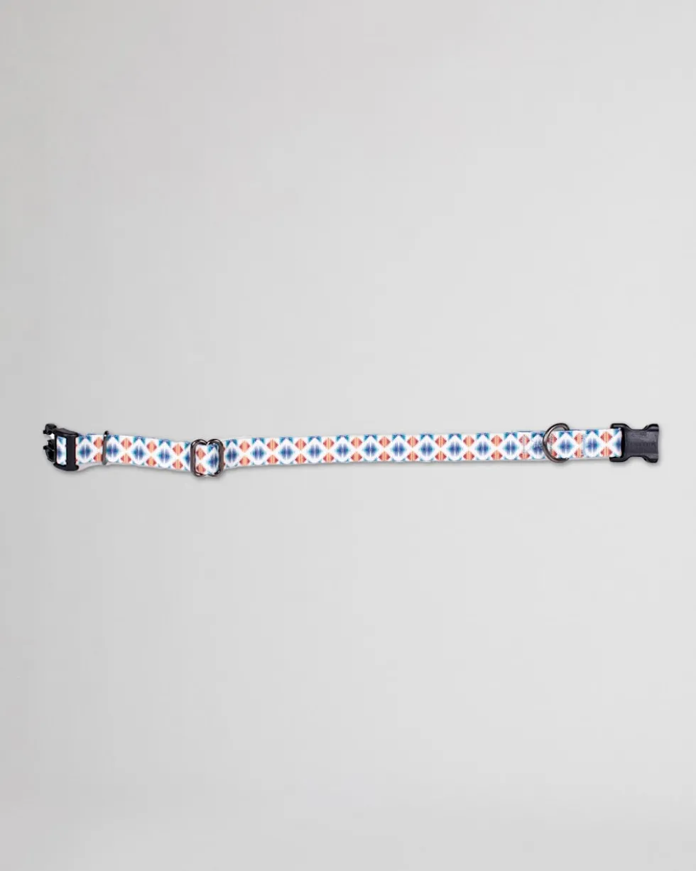 FALCON COVE ADVENTURE COLLAR