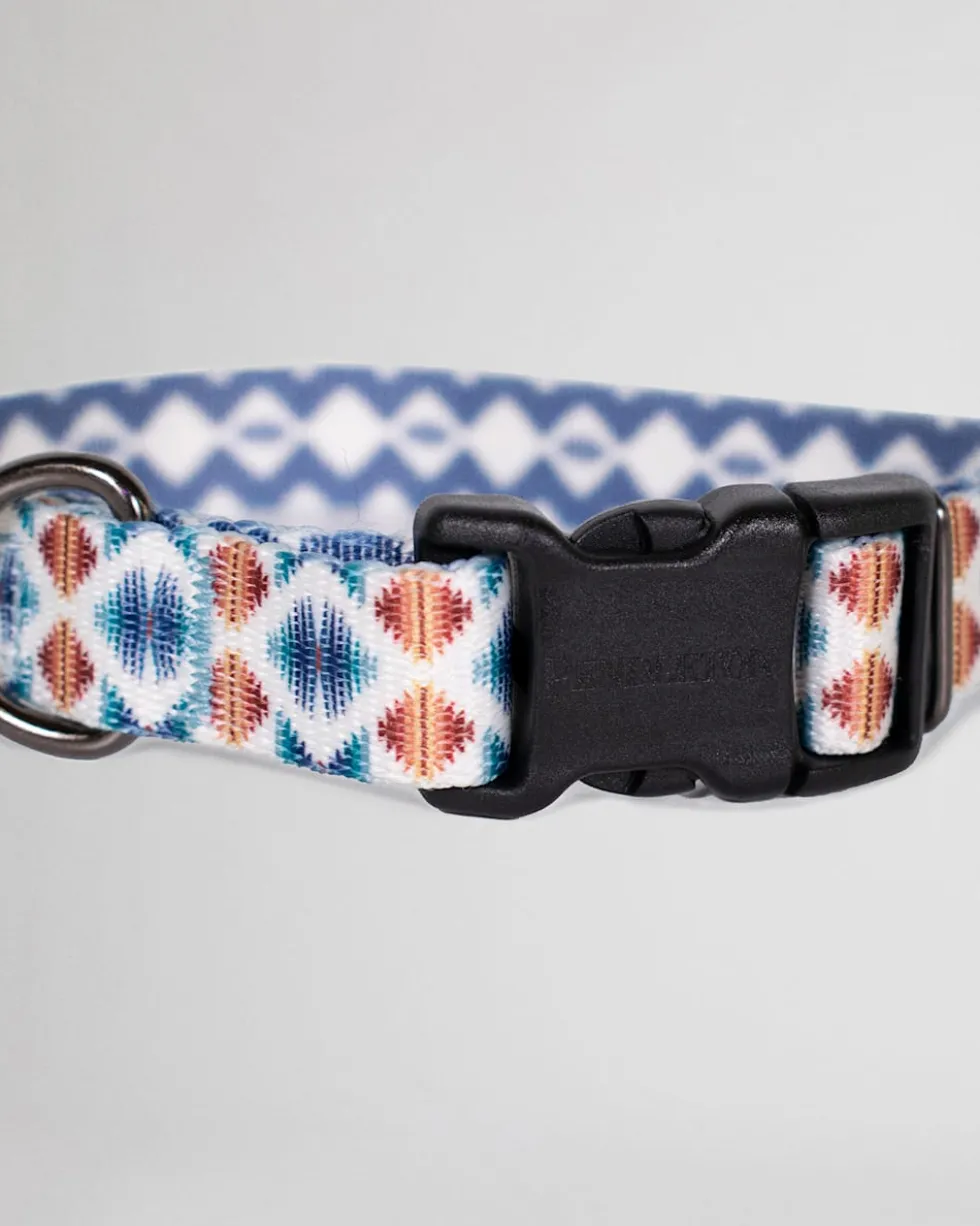 FALCON COVE ADVENTURE COLLAR