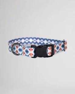 FALCON COVE ADVENTURE COLLAR