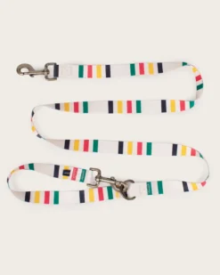 GLACIER NATIONAL PARK ADVENTURE LEASH