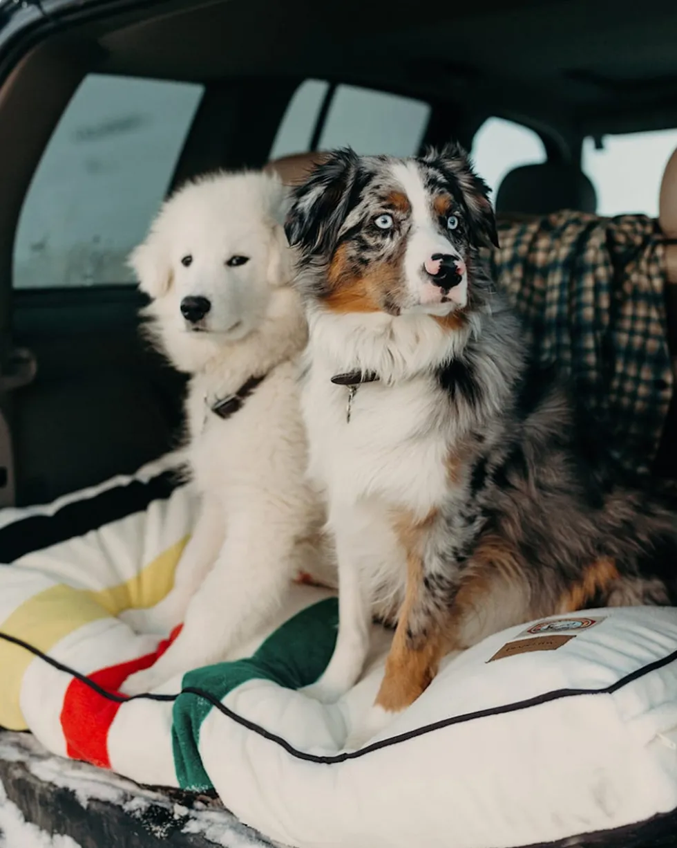 GLACIER NATIONAL PARK PET BED - NAPPER
