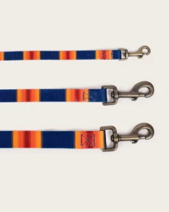 GRAND CANYON NATIONAL PARK ADVENTURE LEASH