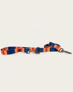 GRAND CANYON NATIONAL PARK ADVENTURE LEASH