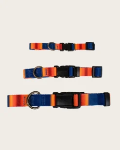 GRAND CANYON NATIONAL PARK ADVENTURE COLLAR