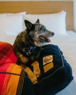 GRAND CANYON NATIONAL PARK PET BED - NAPPER
