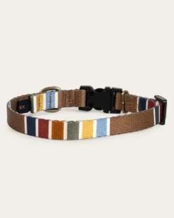JOSHUA TREE NATIONAL PARK ADVENTURE COLLAR