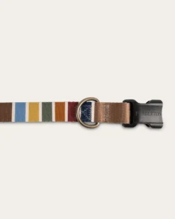 JOSHUA TREE NATIONAL PARK ADVENTURE COLLAR