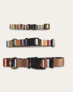 JOSHUA TREE NATIONAL PARK ADVENTURE COLLAR
