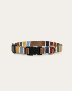 JOSHUA TREE NATIONAL PARK ADVENTURE COLLAR