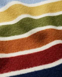 JOSHUA TREE NATIONAL PARK BLANKET