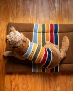 JOSHUA TREE NATIONAL PARK PET BED - COMFORT CUSHION