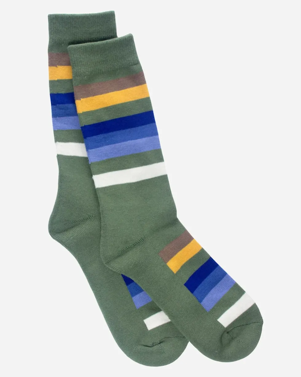 NATIONAL PARK STRIPE CREW SOCKS
