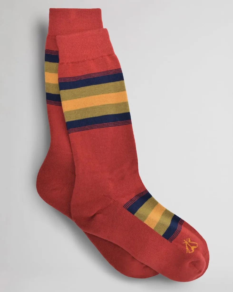 NATIONAL PARK STRIPE CREW SOCKS
