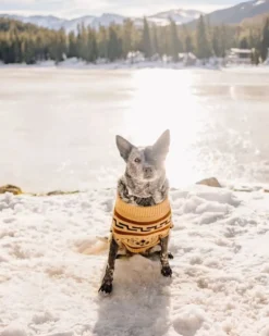 WESTERLEY PET SWEATER