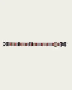 YAKIMA CAMP ADVENTURE COLLAR