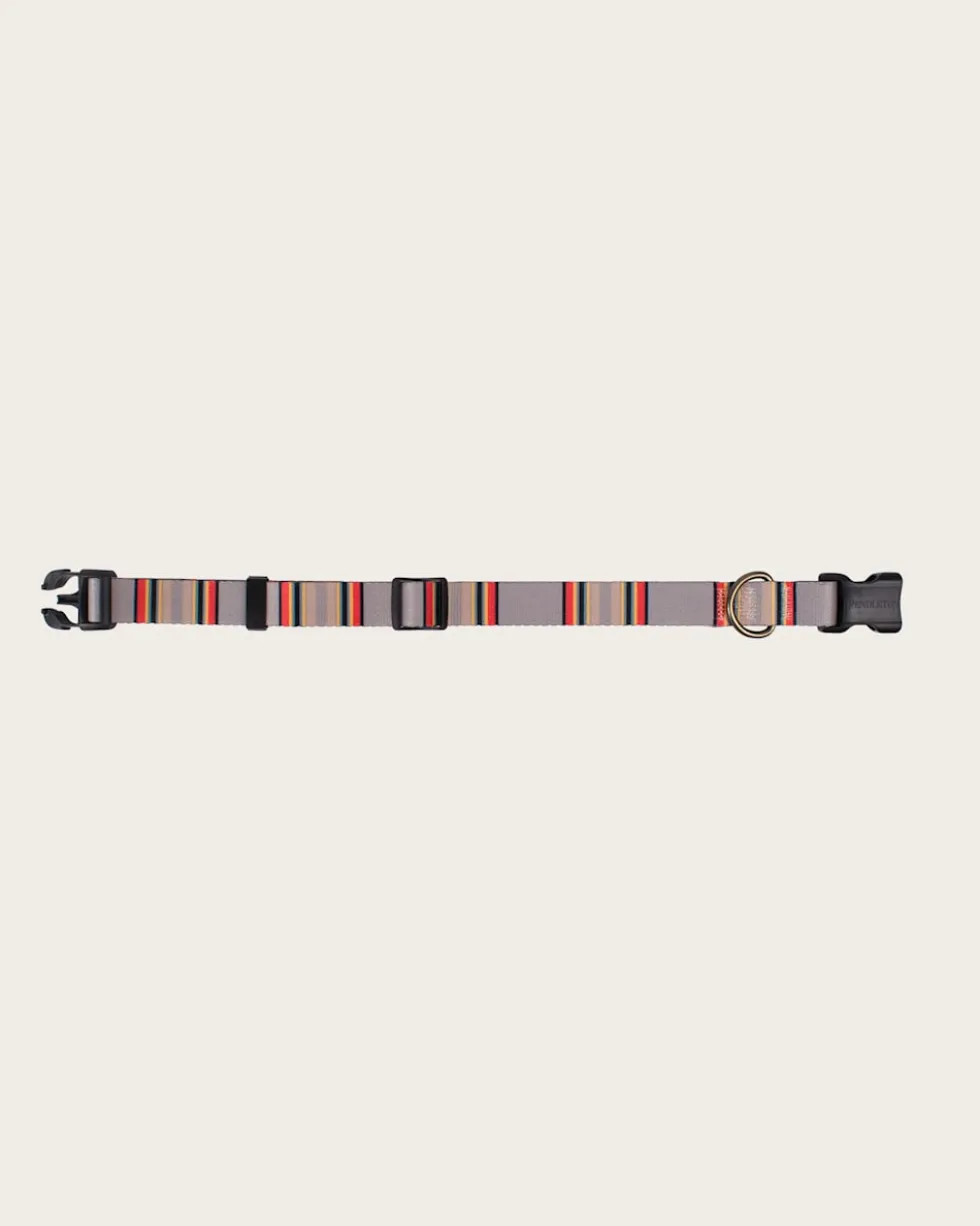 YAKIMA CAMP ADVENTURE COLLAR