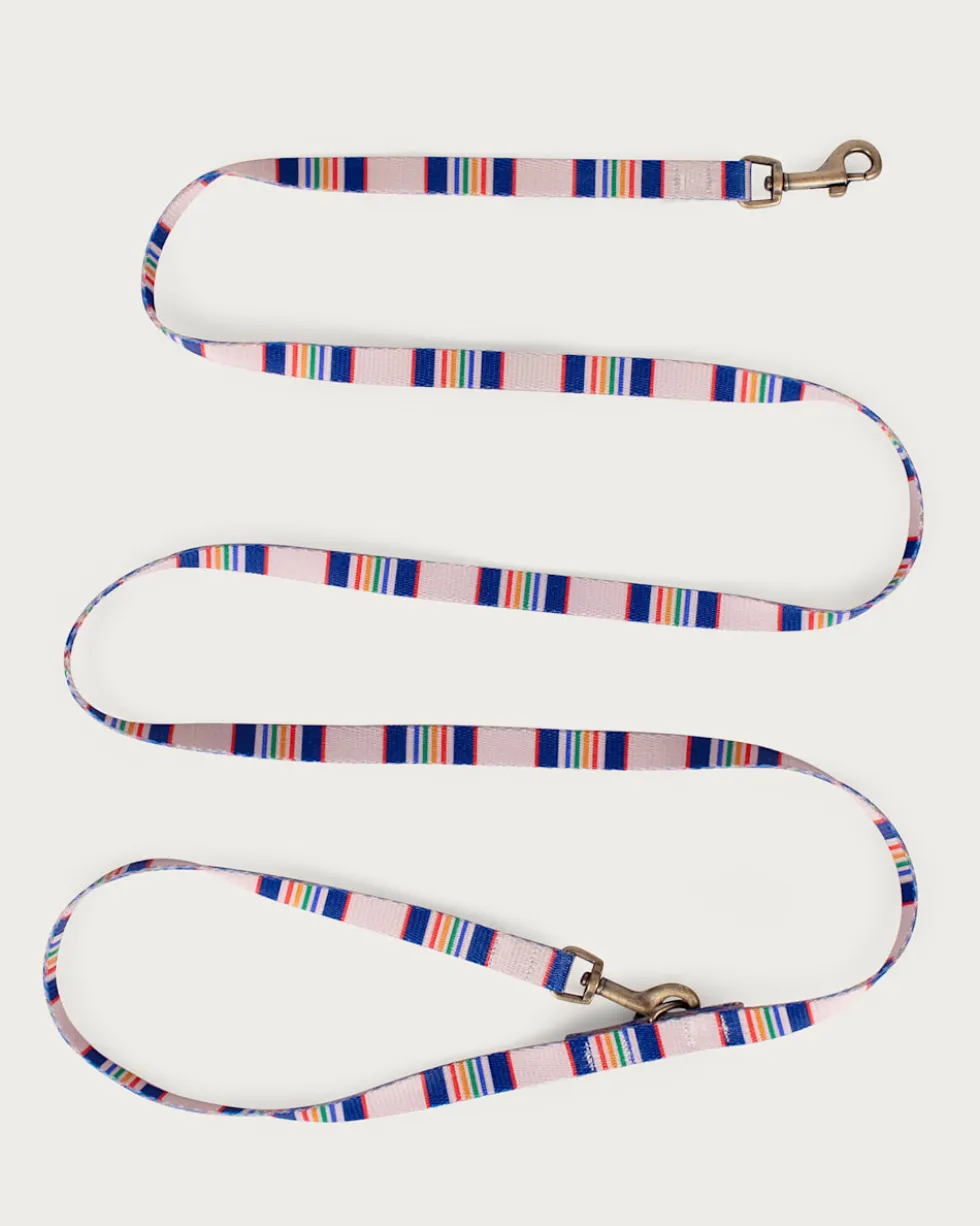 YELLOWSTONE NATIONAL PARK ADVENTURE LEASH