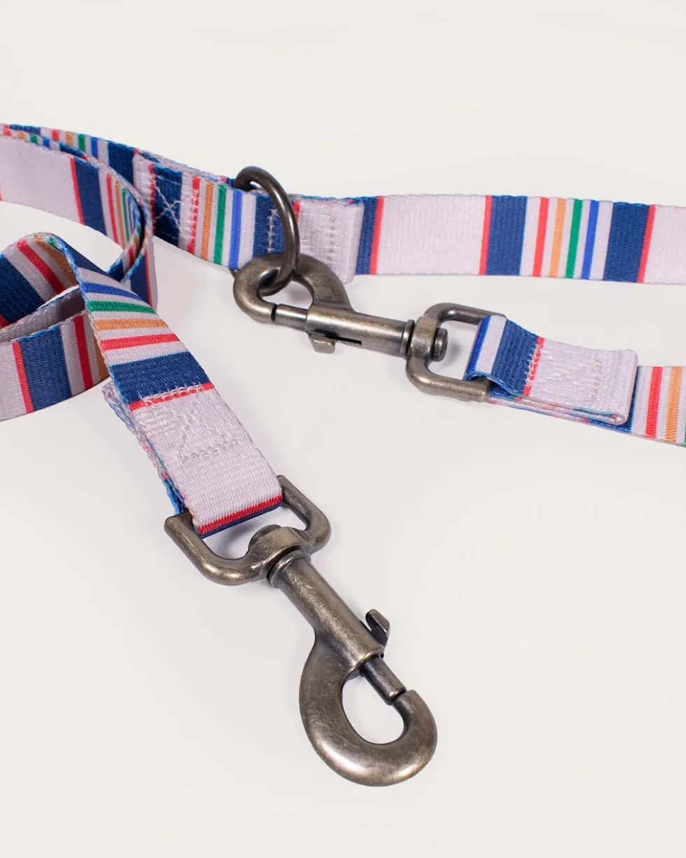 YELLOWSTONE NATIONAL PARK ADVENTURE LEASH