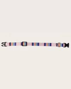 YELLOWSTONE NATIONAL PARK ADVENTURE COLLAR