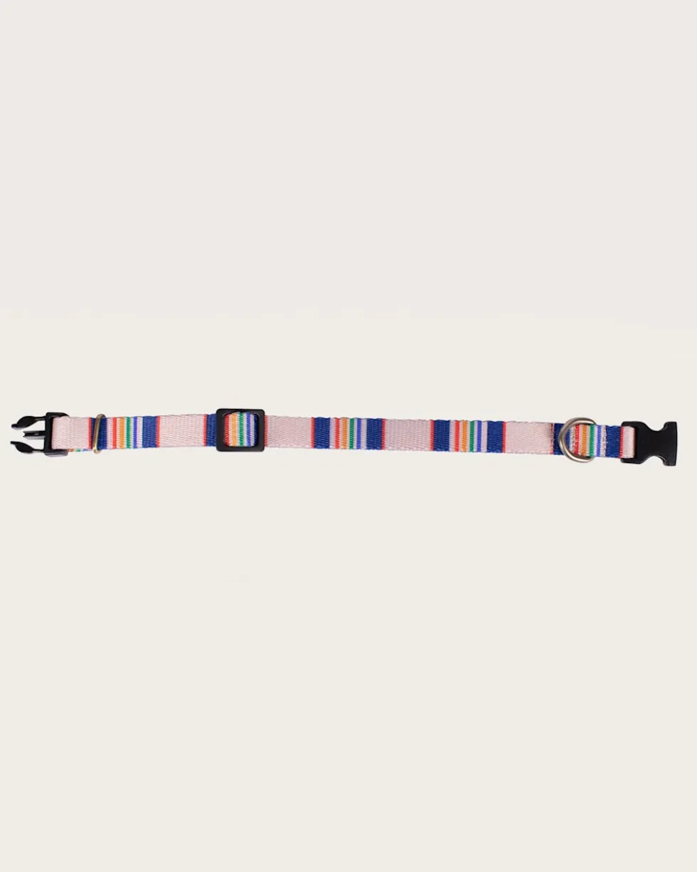 YELLOWSTONE NATIONAL PARK ADVENTURE COLLAR