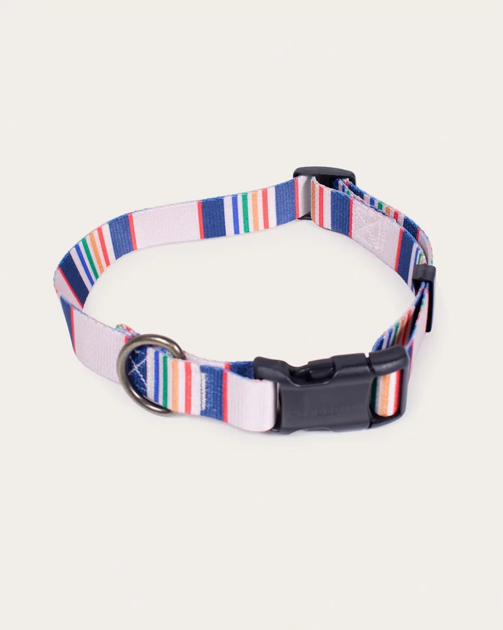 YELLOWSTONE NATIONAL PARK ADVENTURE COLLAR