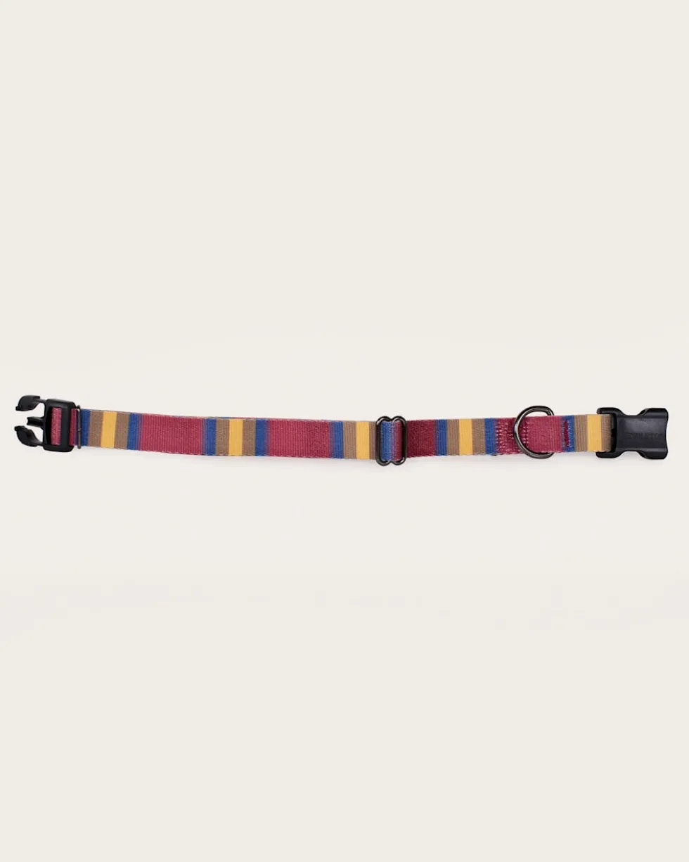 ZION NATIONAL PARK ADVENTURE COLLAR