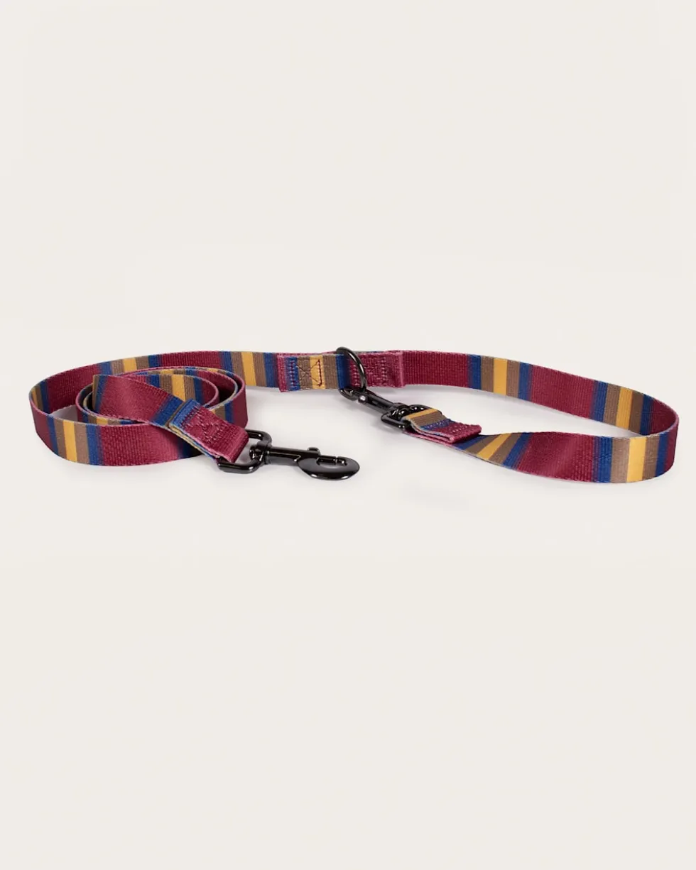 ZION NATIONAL PARK ADVENTURE LEASH
