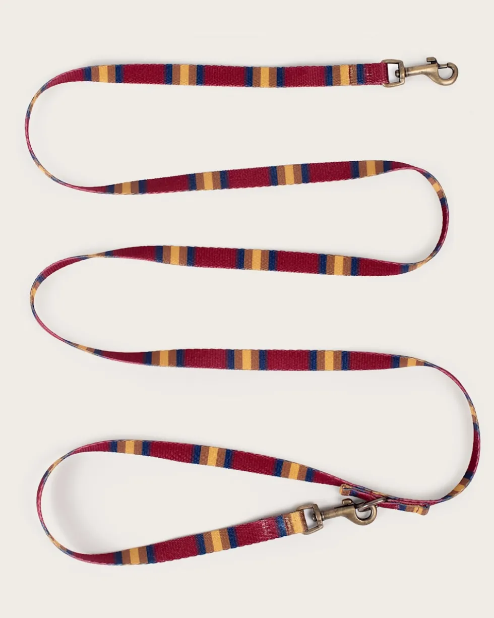 ZION NATIONAL PARK ADVENTURE LEASH